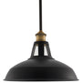 Olivera 12 inch Pendant Light with LED Bulb