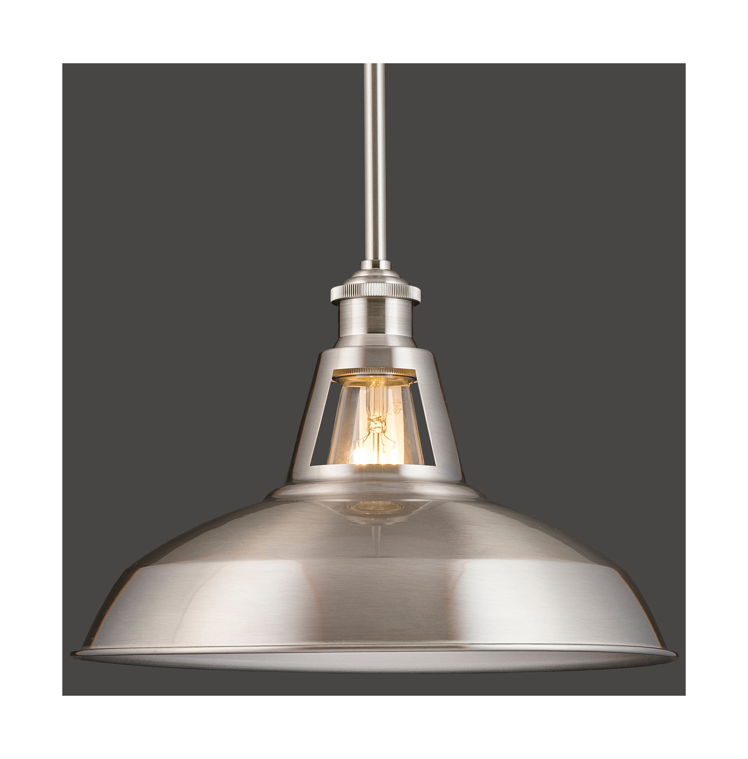 12 inch pendant deals light